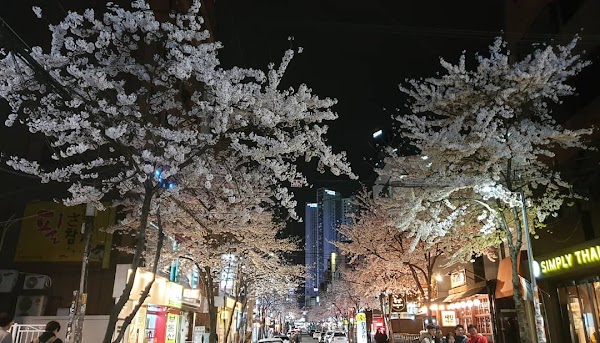 Yanghwa-ro 6-gil 4