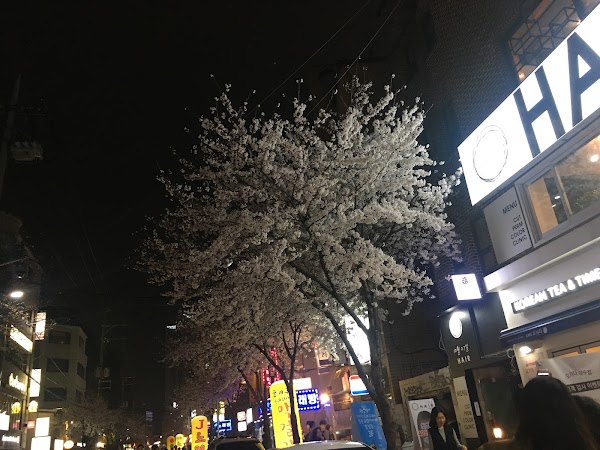 Yanghwa-ro 6-gil 3