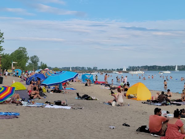 Ward's Island Beach 1