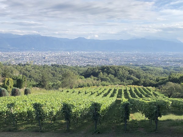 Suntory Tomi no Oka Winery 4