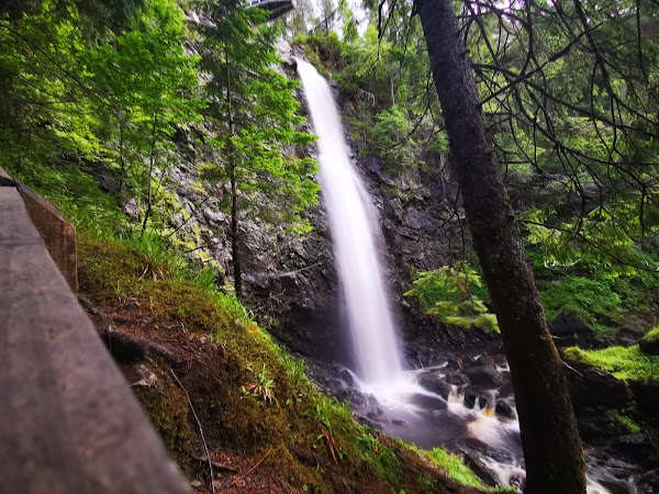 Plodda Falls 1
