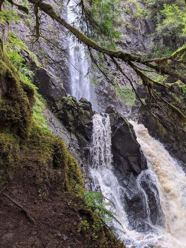 Plodda Falls 4
