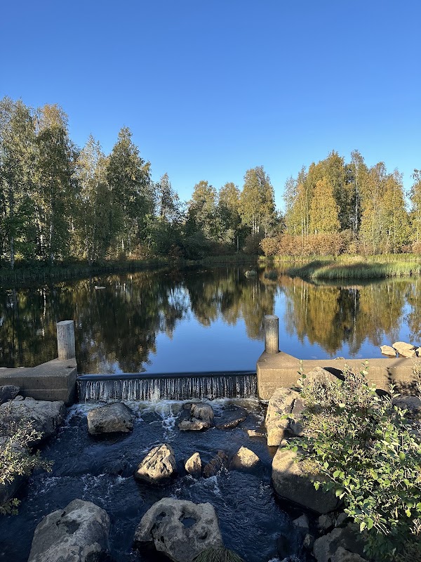 Ainolan puisto 2