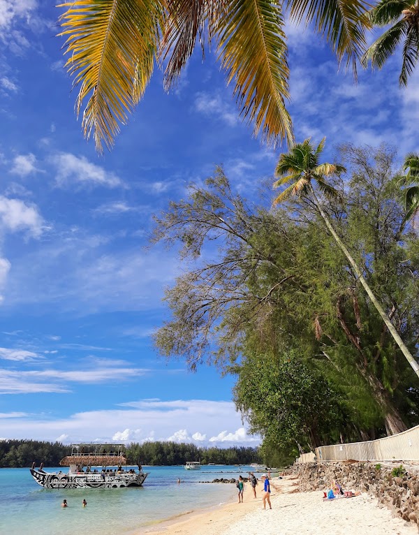 Plage de Tiahura 1