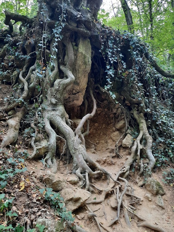 Dera Gorge 1