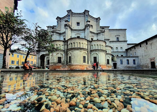 Parma 4