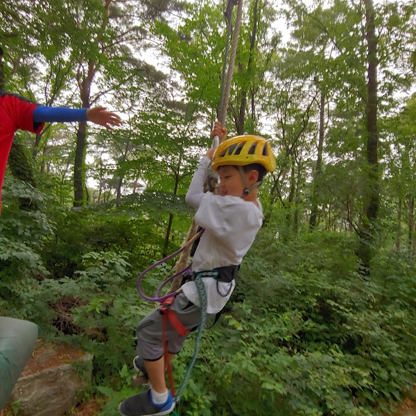 Yongin Forest 1