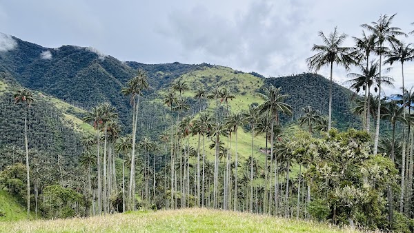 Carbonera Valley Tour 5