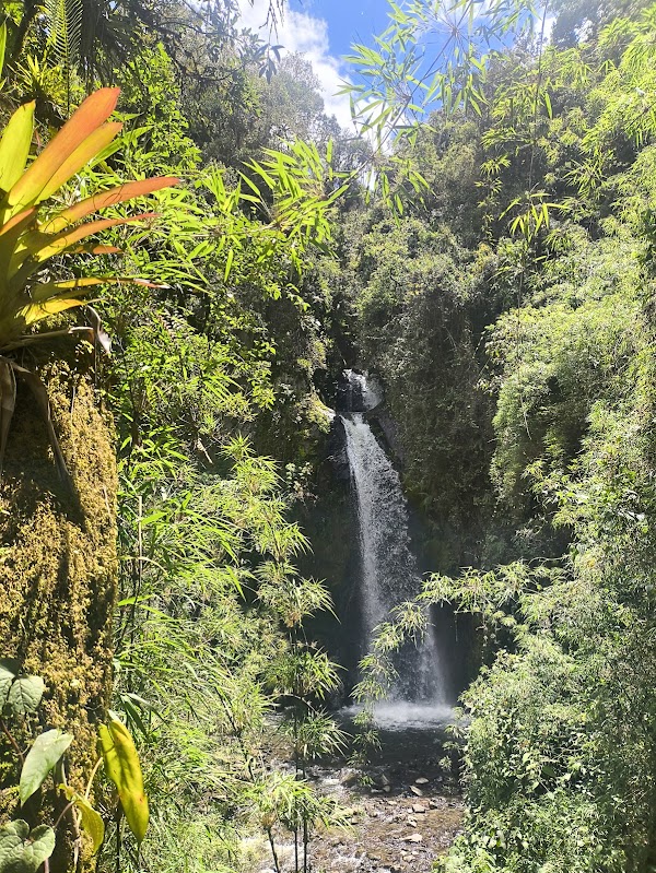 Carbonera Valley Tour 4