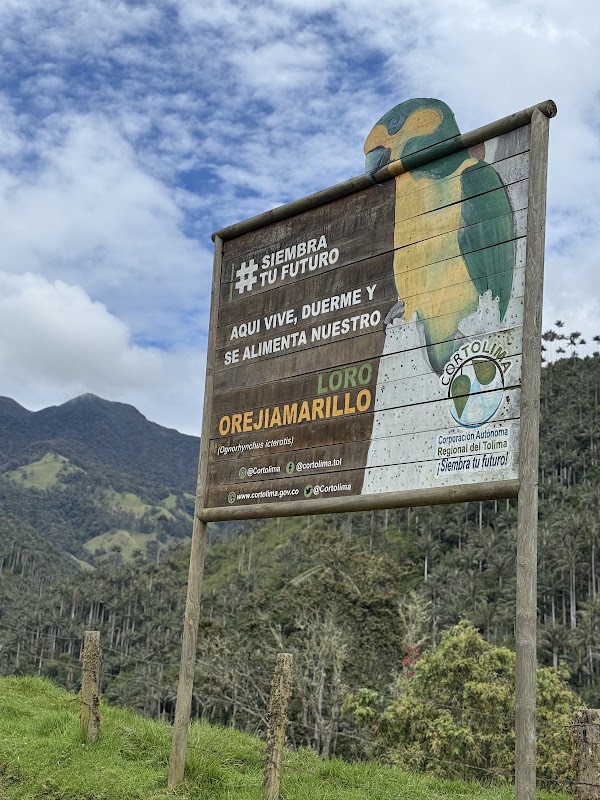 Carbonera Valley Tour 3