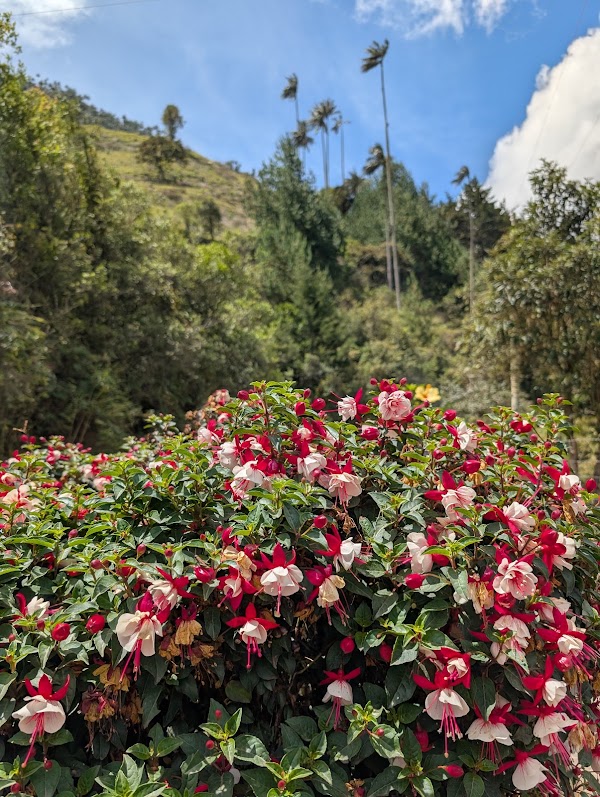Carbonera Valley Tour 2