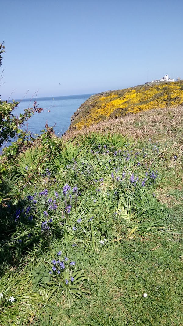 Porth Eilian