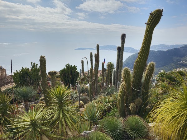 Le Jardin Exotique 4