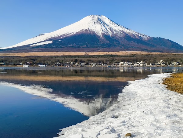 白鳥浜