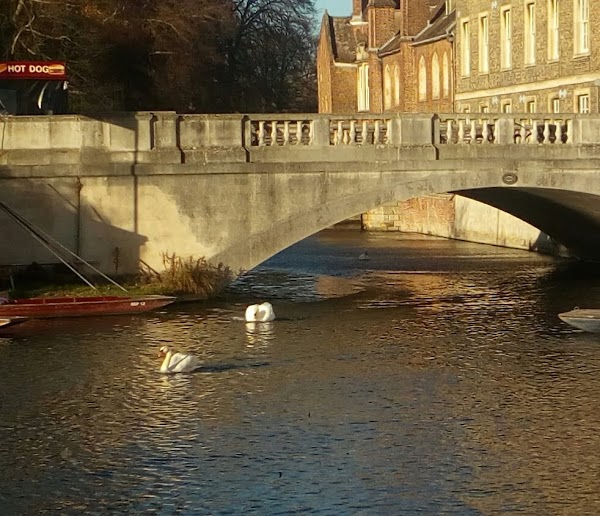 Cambridge 4