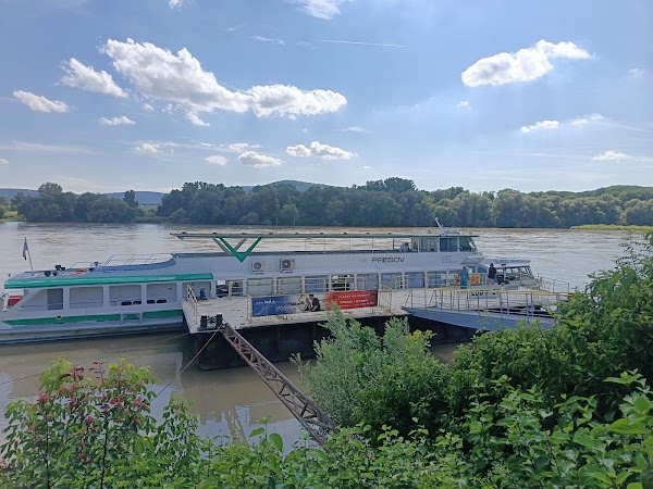 Slovak Shipping and Ports – Passenger Shipping, Inc. 5