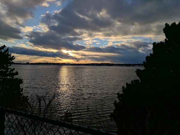Back Cove Trail