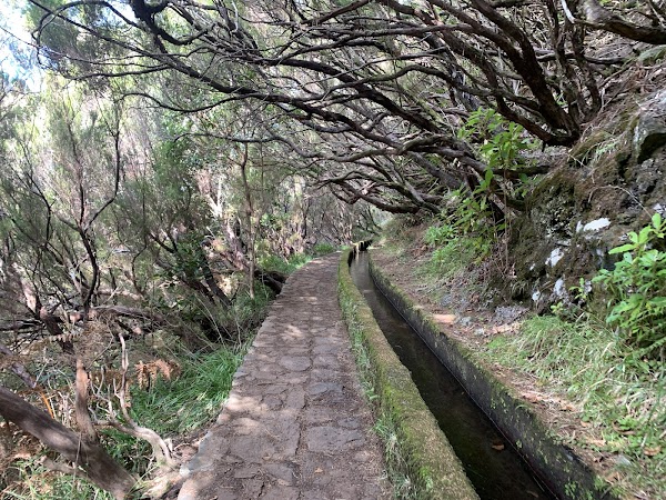 Madeira 16