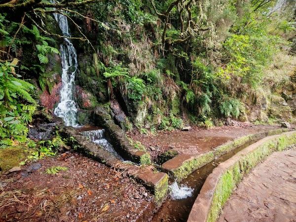 PR6 25 Fontes hike & Levada do Risco 3