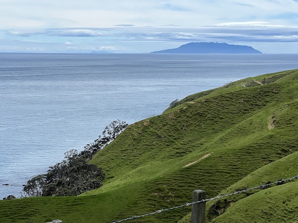 Coromandel Peninsula 5