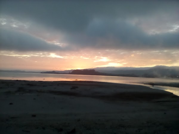 Coromandel Peninsula 3