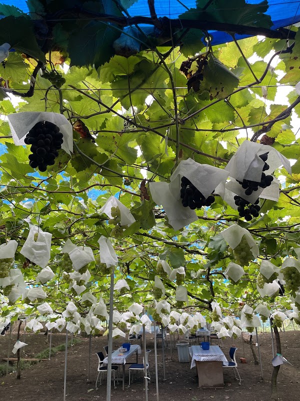 Takasa Orchards