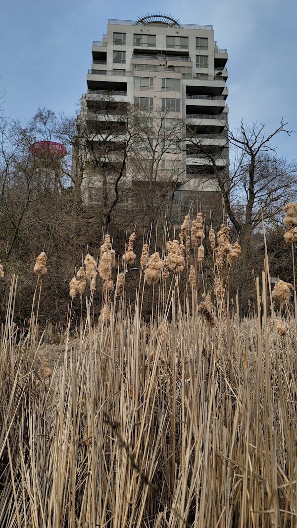 Old Mill