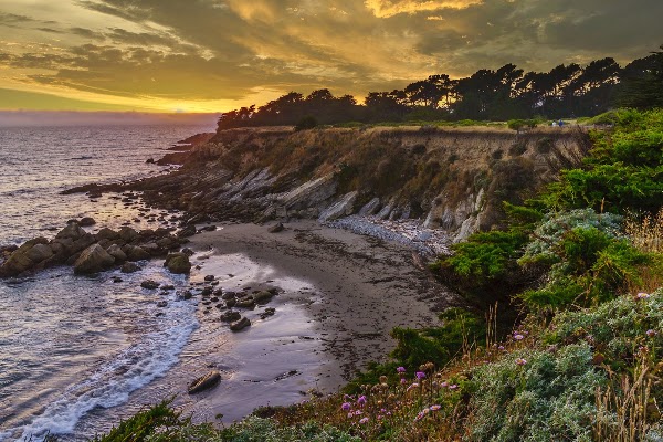 Gualala Point Regional Park
