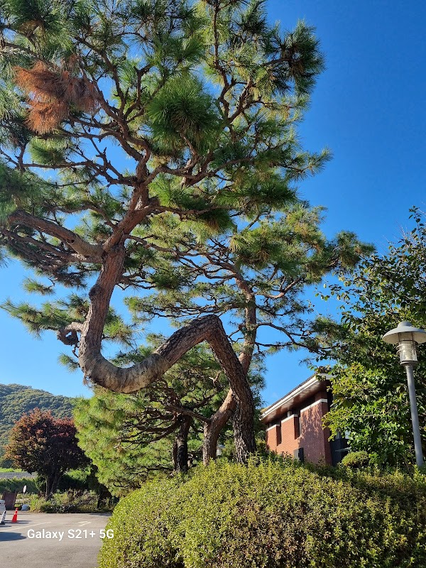 Icheon Ceramics Village 3