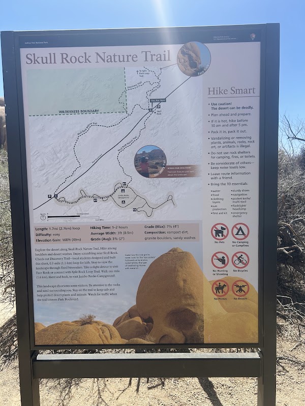 Skull Rock 5