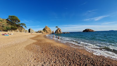 Barcalona 35