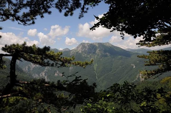 Sutjeska National Park 5