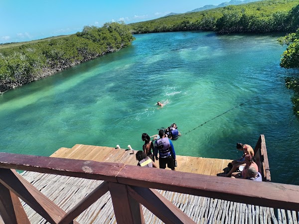 La Plataforma de Montecristi 1