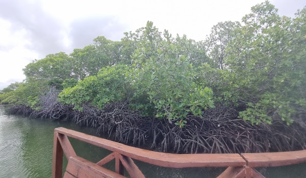 La Plataforma de Montecristi 4
