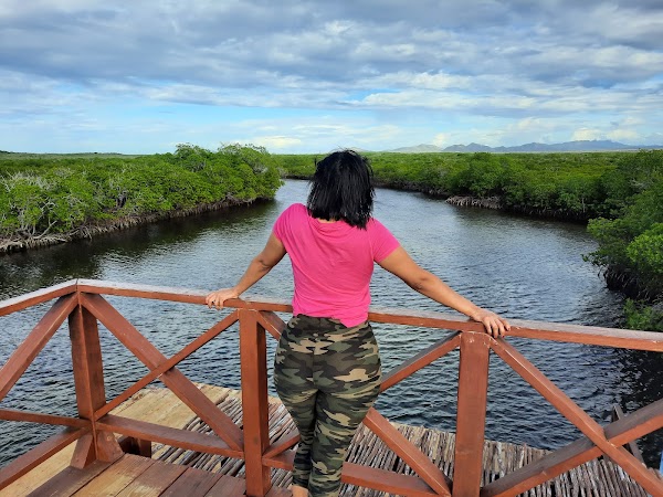 La Plataforma de Montecristi 3