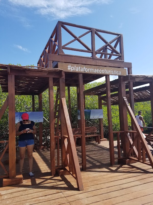 La Plataforma de Montecristi 2