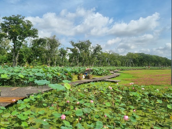 Wachirabenchathat Park (State Railway Park) 2