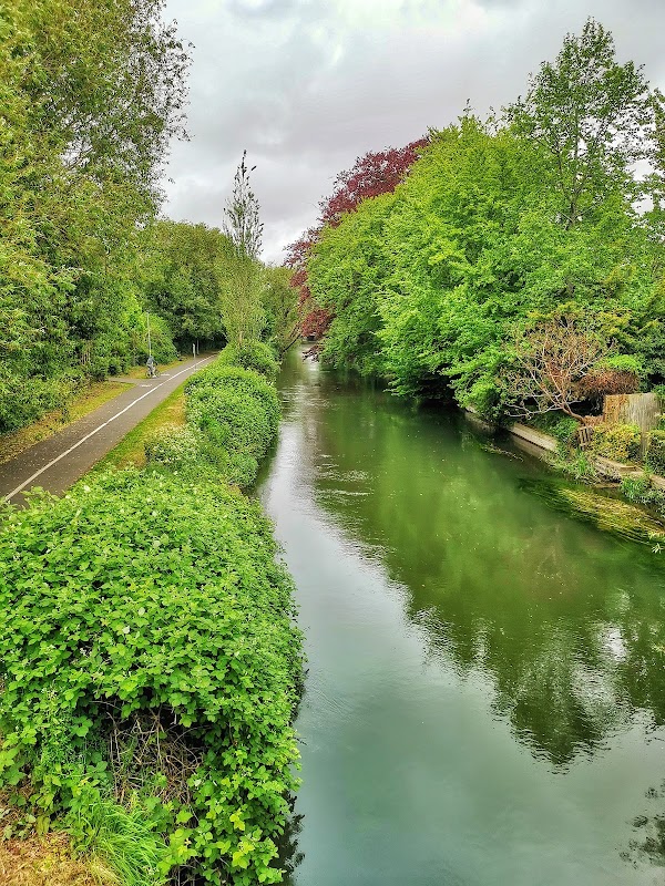 River Avon