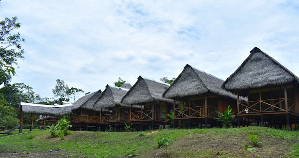 Amazon Wildlife Adventures 1