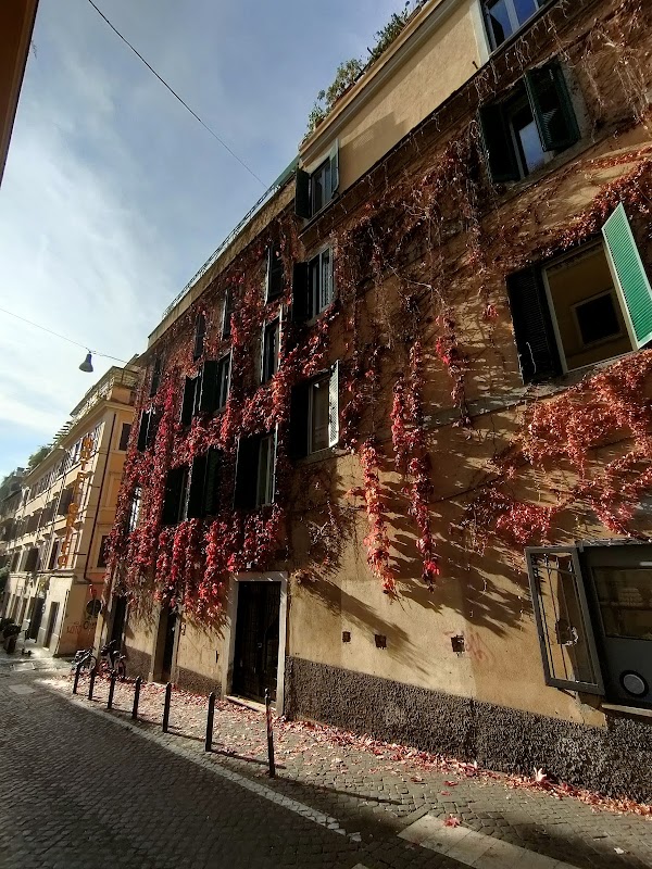Via del Boschetto 2