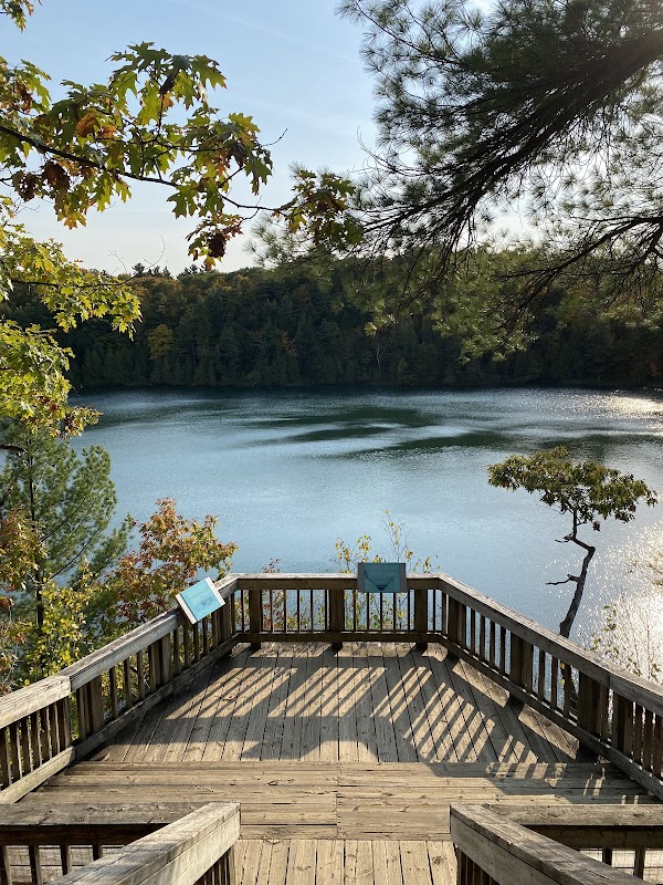 Pink Lake 5