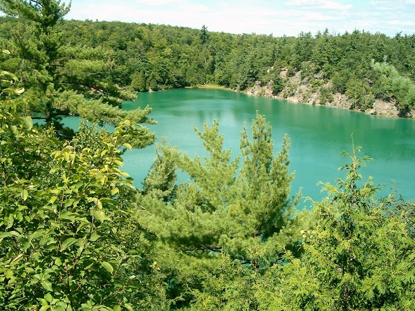 Pink Lake 4