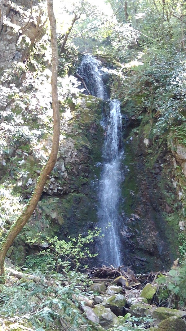 Kofu