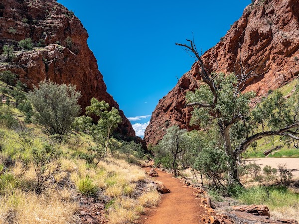 Simpsons Gap 5