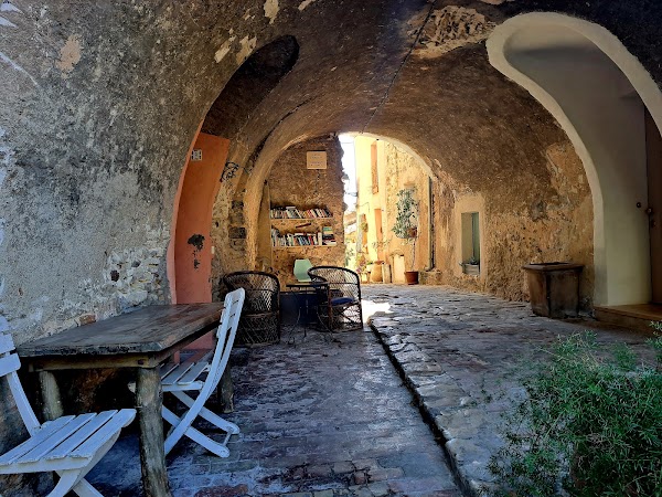 Biot 3