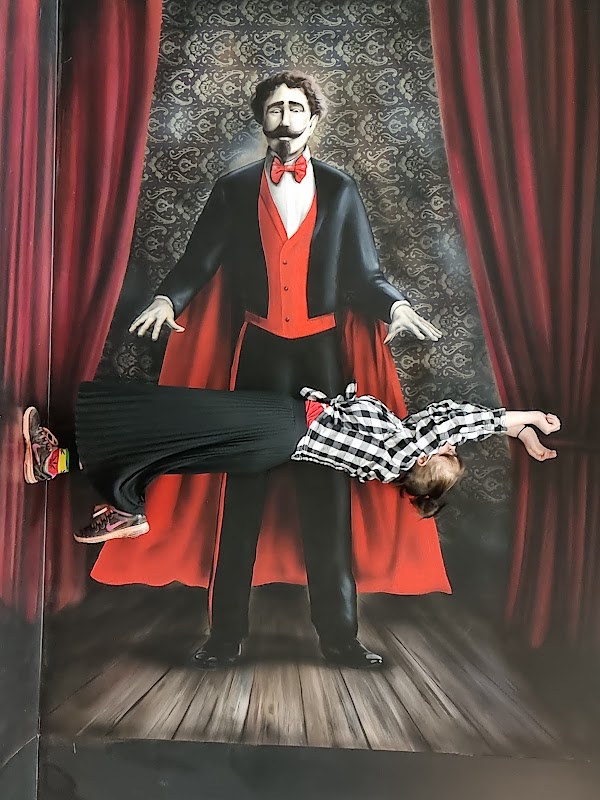 Museum of Fantastic Illusions 4