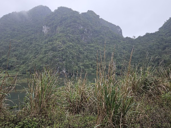 Việt Hải - Cát Bà 5