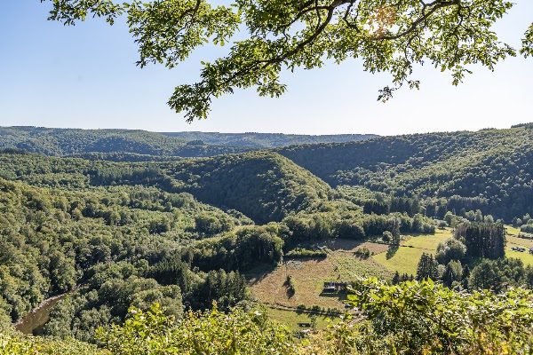 Le Jambon de la Semois