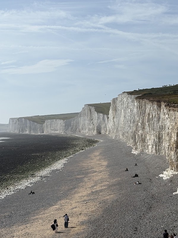 Seaford Head Nature Reserve, Sussex Wildlife Trust 5