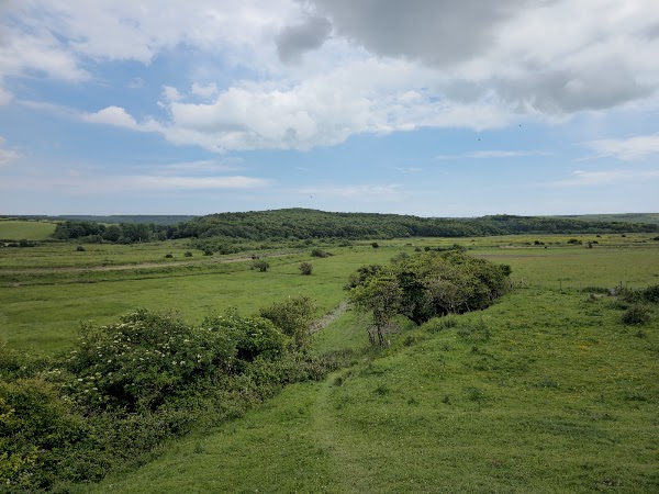Seaford Head Nature Reserve, Sussex Wildlife Trust 4